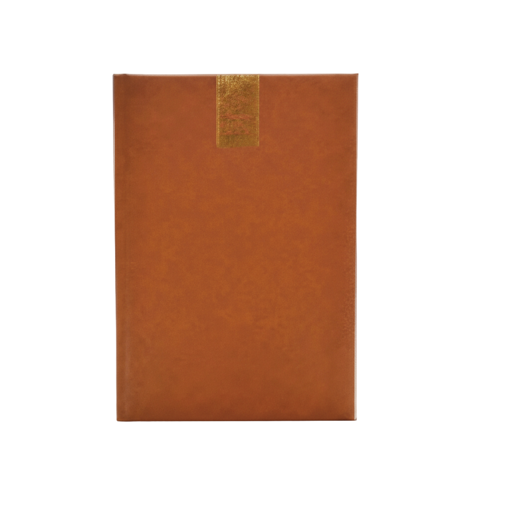 B5 Soft Touch Foam Padded Diary 2026 (S06)